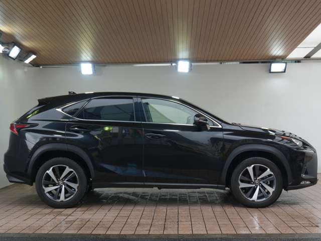 Lexus NX 8