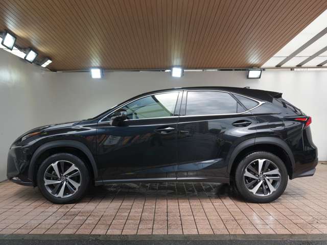 Lexus NX 9