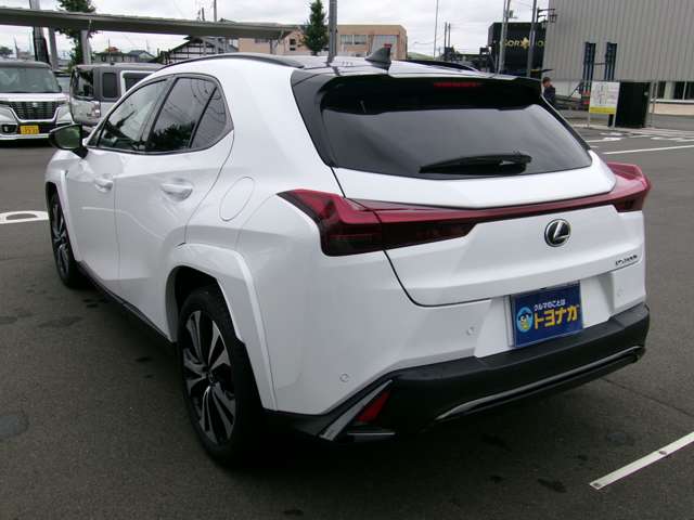 Lexus UX 11