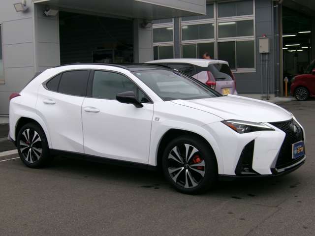 Lexus UX 6