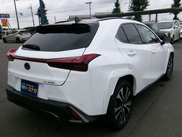 Lexus UX 9