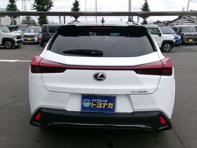 Lexus UX 10