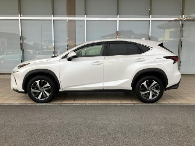 Lexus NX 5