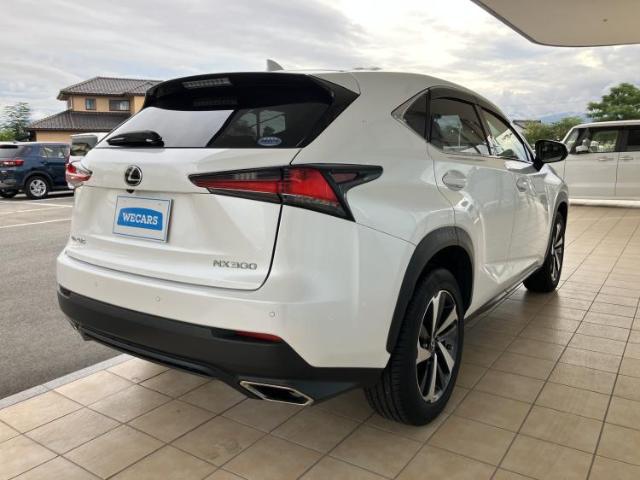 Lexus NX 6