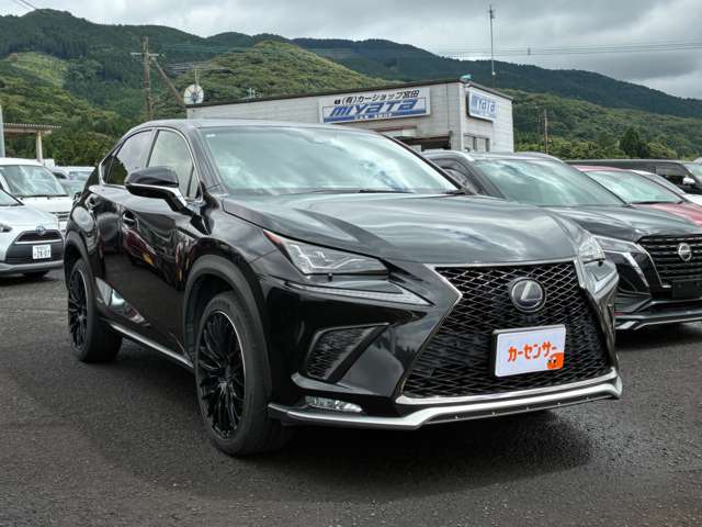 Lexus NX 9