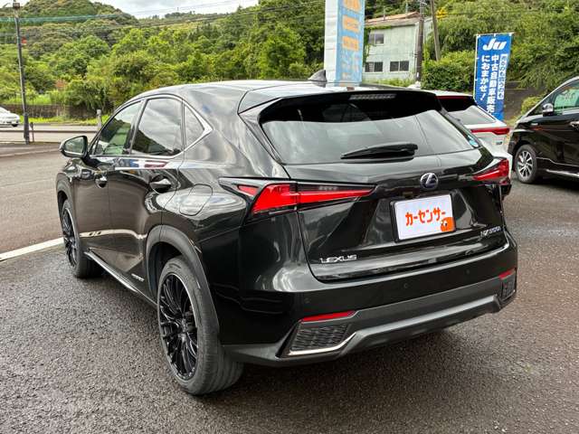 Lexus NX 10