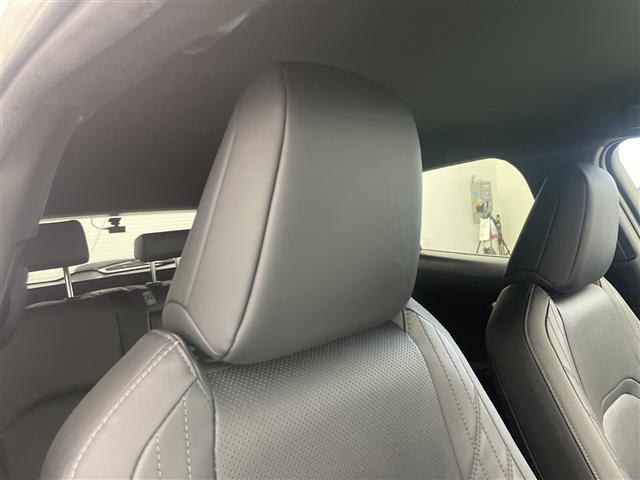Lexus UX300e 11