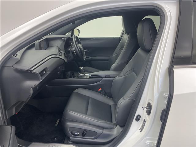 Lexus UX300e 12