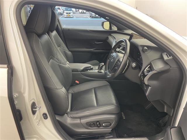 Lexus UX300e 9