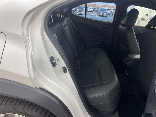 Lexus UX300e 10