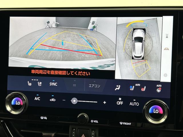 Lexus NX 6
