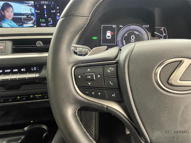 Lexus UX 9