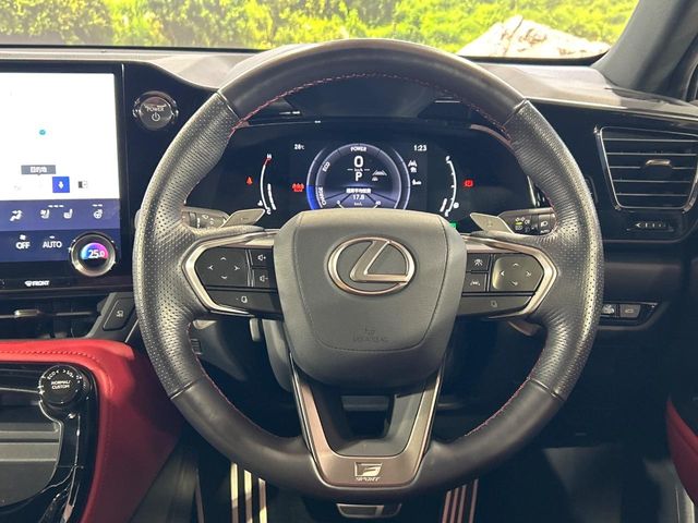Lexus NX 11