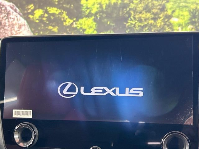 Lexus NX 4