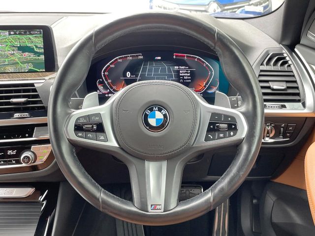 BMW X3 10