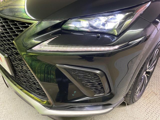 Lexus NX 12