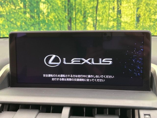 Lexus NX 3