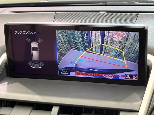 Lexus NX 4