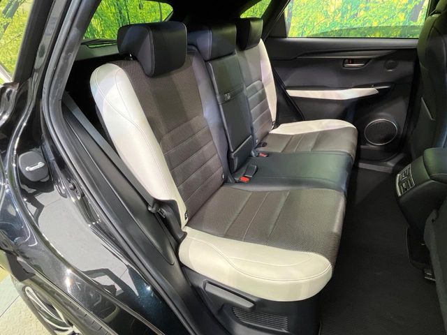 Lexus NX 10