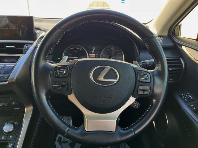Lexus NX 11