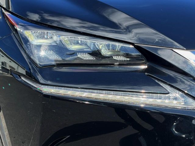 Lexus NX 12