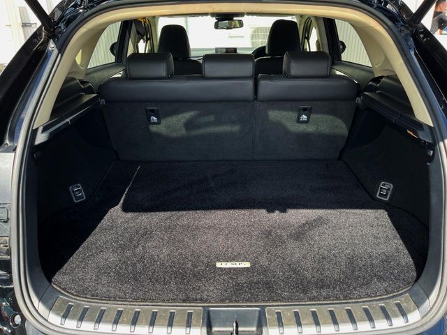 Lexus NX 10