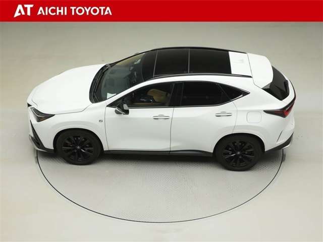 Lexus NX 11