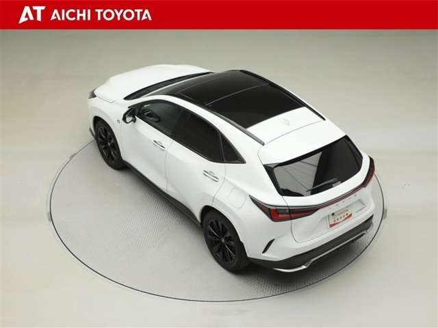 Lexus NX 12