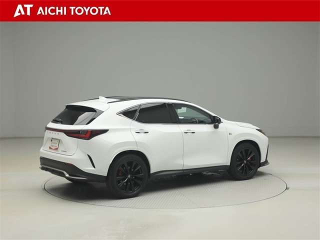 Lexus NX 6