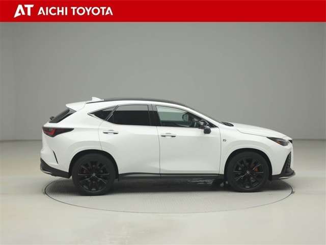 Lexus NX 7