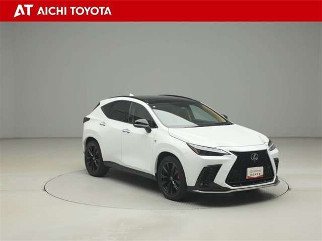Lexus NX 8