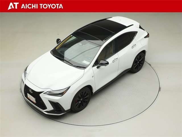Lexus NX 10