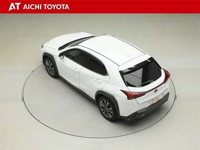 Lexus UX 12