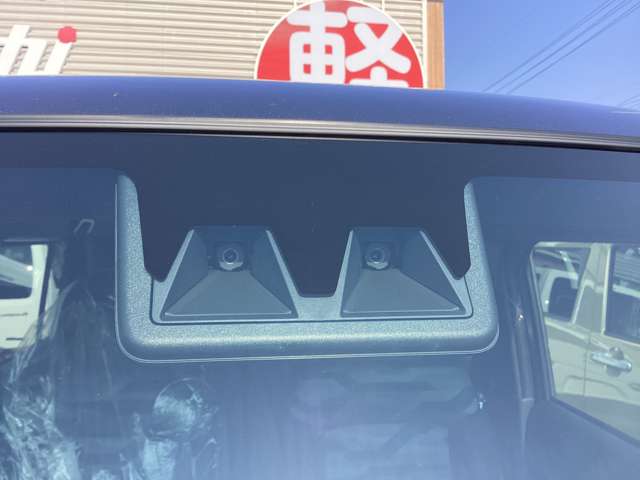 Daihatsu Taft 11