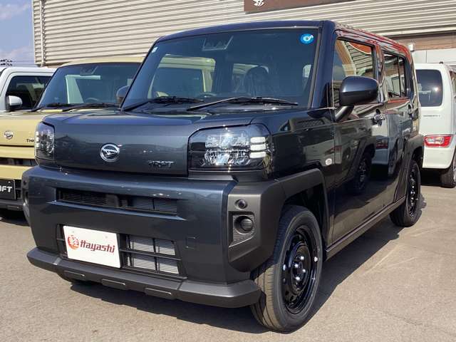Daihatsu Taft 6