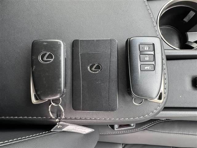 Lexus NX 12