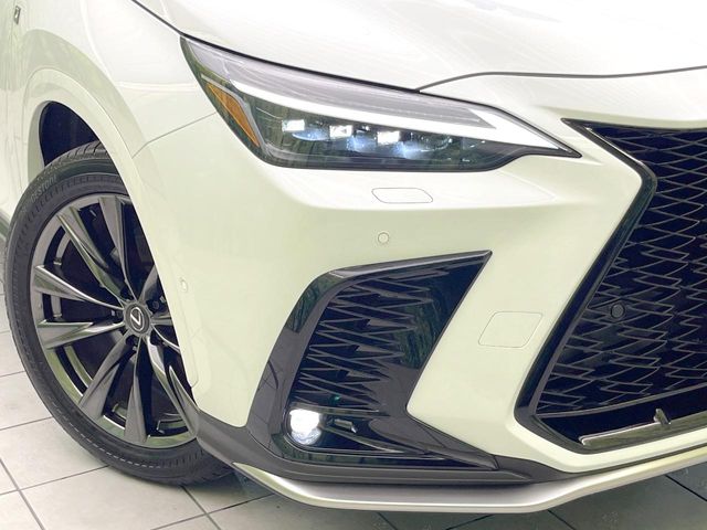 Lexus NX 11