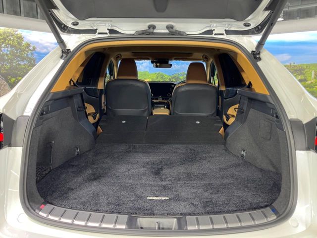 Lexus NX 11