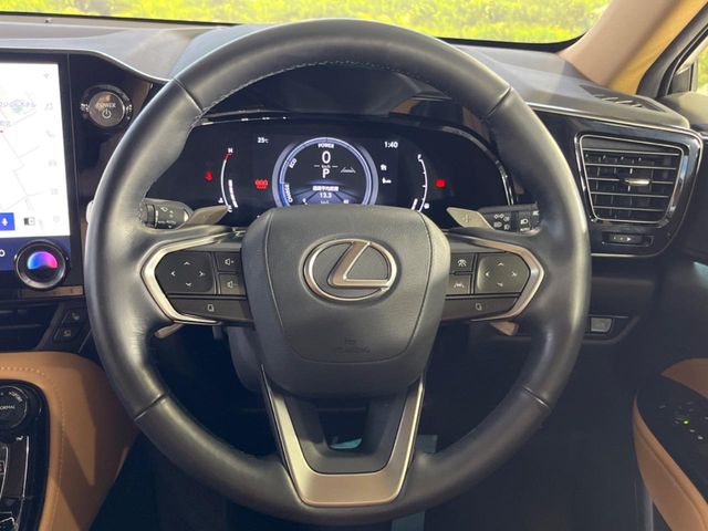 Lexus NX 12