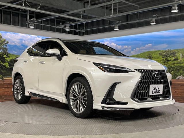 Lexus NX 4