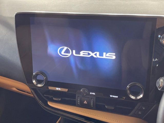 Lexus NX 7