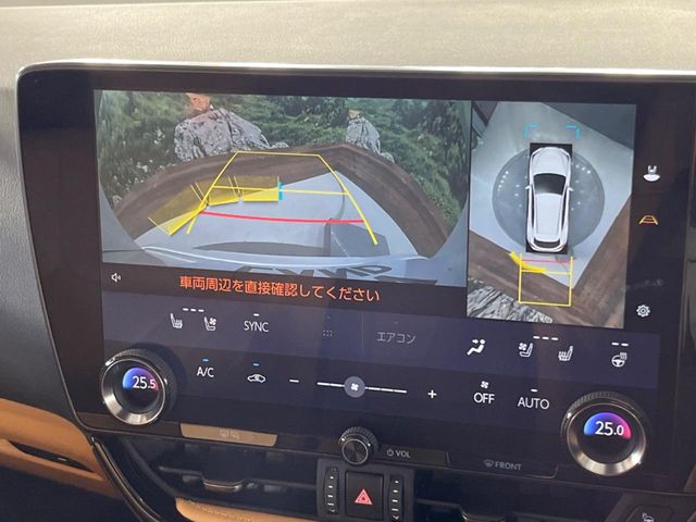 Lexus NX 8