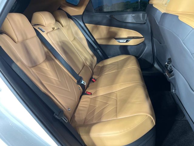 Lexus NX 10