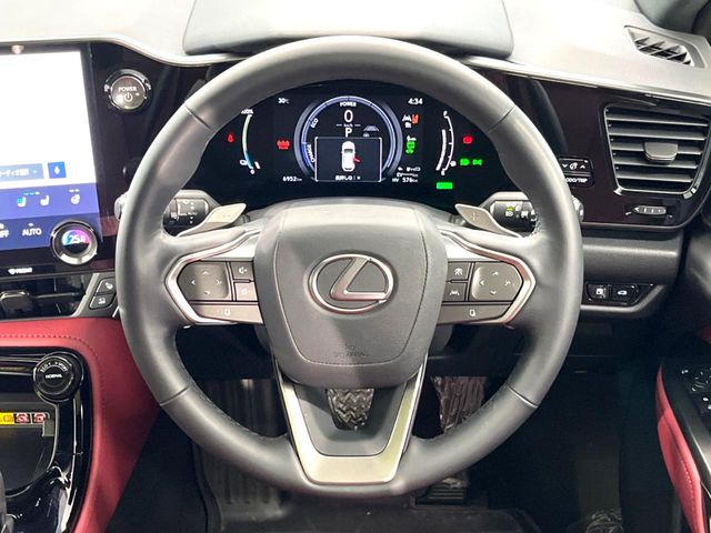 Lexus NX 11