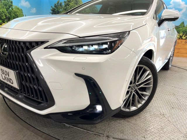 Lexus NX 12