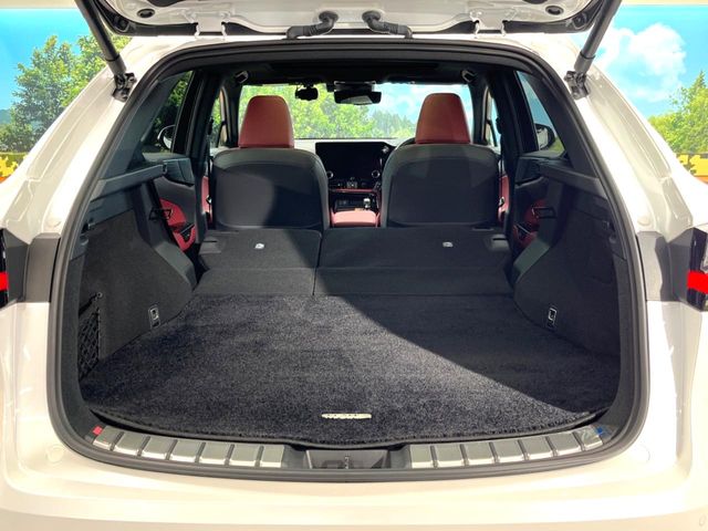 Lexus NX 10