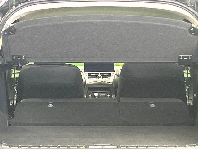 Lexus NX 11