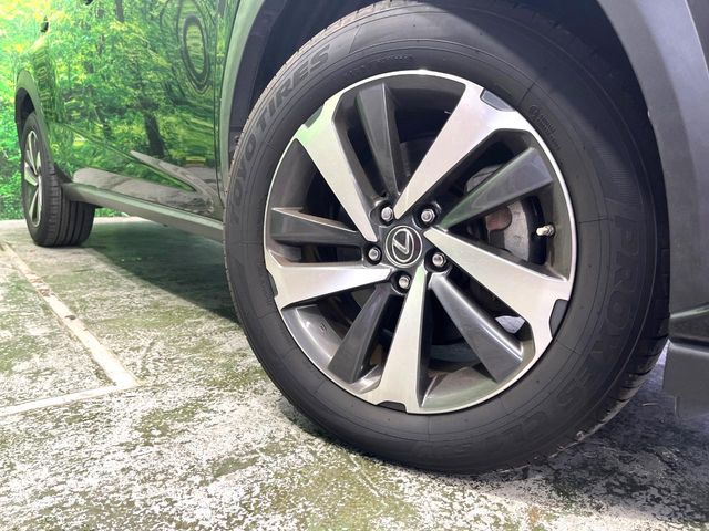 Lexus NX 12