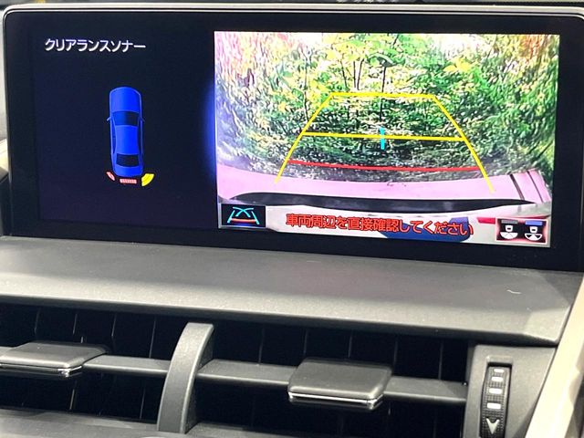 Lexus NX 4