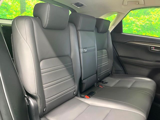 Lexus NX 10